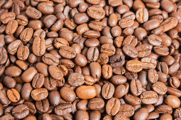 Roasted Coffee Beans