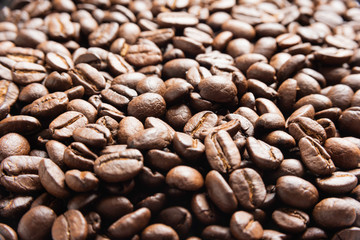 Roasted Coffee Beans