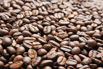 Roasted Coffee Beans