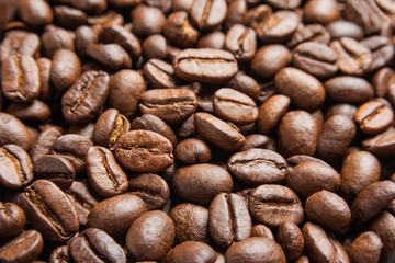Roasted Coffee Beans