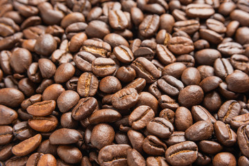 Roasted Coffee Beans