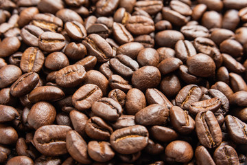 Roasted Coffee Beans
