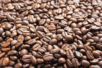 Roasted Coffee Beans