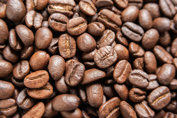 Roasted Coffee Beans