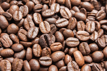 Roasted Coffee Beans