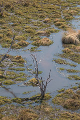 Landscape of the Okavango Delta from an aerial view, Botswana, Africa