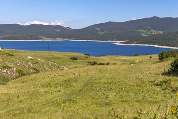 Fototapeta na wymiar Summer view of Belmeken Reservoir, Rila mountain, Bulgaria