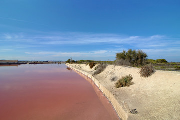 Salinas de San Pedro del Pinatar, Murcia, España