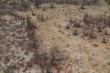 Landscape of the Okavango Delta from an aerial view, Botswana, Africa