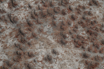 Landscape of the Okavango Delta from an aerial view, Botswana, Africa