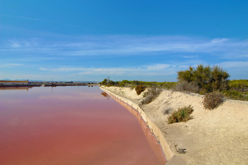 Salinas de San Pedro del Pinatar, Murcia, España