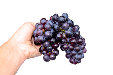 bunch of grapes in hand