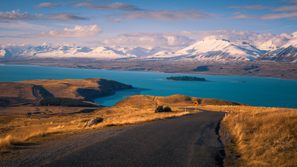Lake Tekapo surrounded by tawny tussock and snowy peaks, South Island, New Zealand