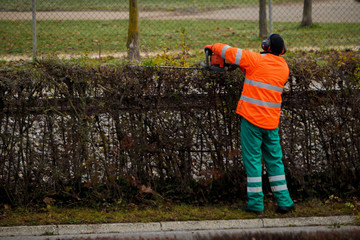 A professional gardener is trimming a hedge next to a train track and a road while using protective equipment, such as visibility pants, vest and earphones.