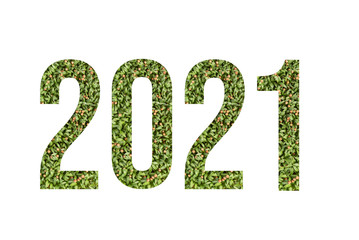 Microgreen font number 2021 made of cilantro microgreen on white background with paper cut shape of number. Collection of flora font for your unique decoration in summer