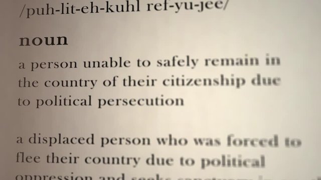 Political Refugee Definition