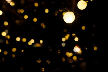 イルミネーション