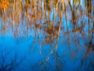Abstraction of Trees Reflected