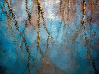 Forest in Winter Reflection