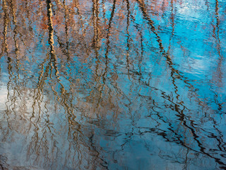 Abstract Trees Reflection