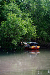 Obraz premium boat on the river