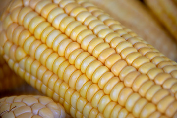 corn cob