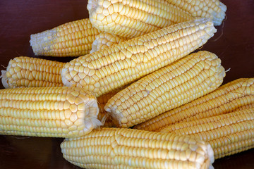 Fototapeta na wymiar corn cob