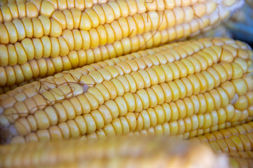 corn cob