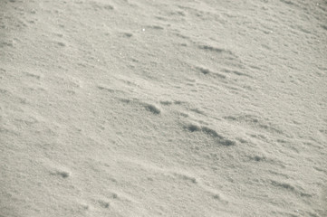 Snow in the mountains of Virginia