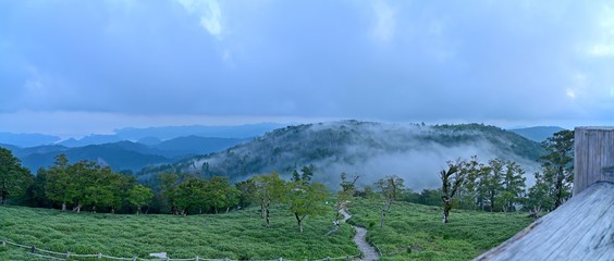 大台ケ原日出ヶ岳山頂で見た幻想的な雲海の情景