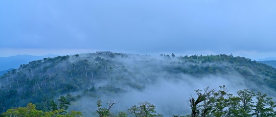 大台ケ原日出ヶ岳山頂で見た幻想的な雲海の情景