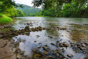 view of river and tropical rainforest in Borneo