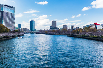 Osaka city view from Okawa River. Cherry trees are in bloom along the river.