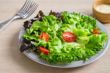 Fresh vegetable salad on plate.