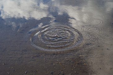 水たまり　素材