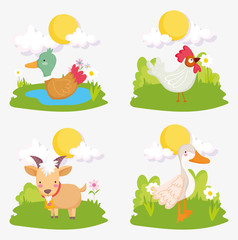 duck rooster goat grass sun farm animals