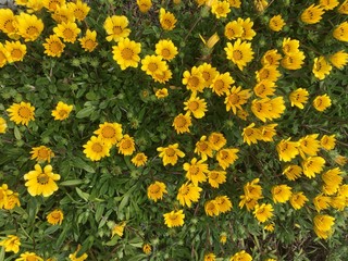 日本　香川県　本島　Japan,Kagawa,Honto