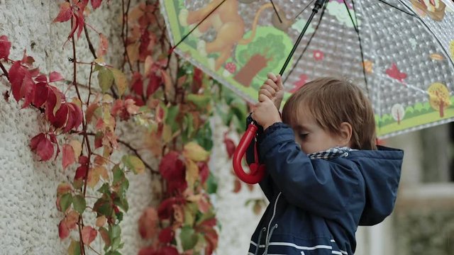 Little boy stands under an umbrella during the rain on a background of autumn yellow leaves