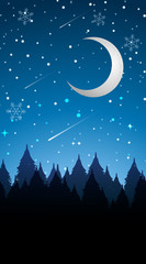 Obraz na płótnie Canvas Scene with moon in winter