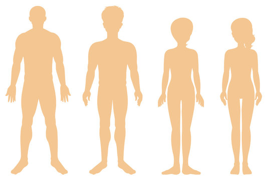 Silhouette of different human on white background