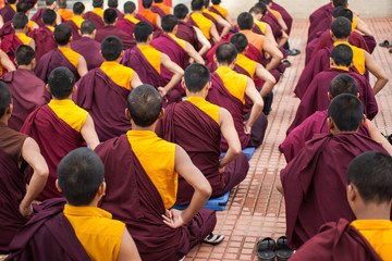 Buddhist Monks reading scripture in a monastery.