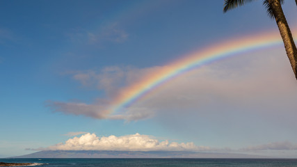 Rainbow in Paradise