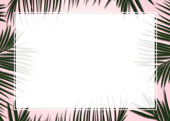 Palm leaves decorated on the soft pastel color background