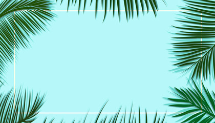 Palm leaves decorated on the soft pastel color background