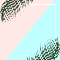 Palm leaves decorated on the soft pastel color background