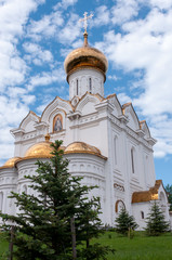 Fototapeta na wymiar Church of the Holy Martyr Grand Duchess Elizabeth in Khabarovsk in the summer on the territory of the railway hospital