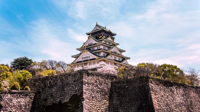 People visiting Osaka Castle during cherry blossom, Hanami Festival season time lapse