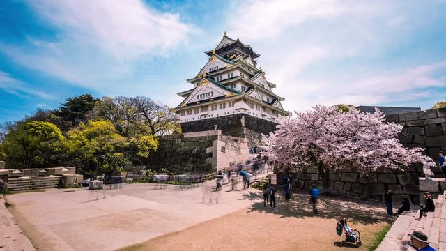 People visiting Osaka Castle during cherry blossom, Hanami Festival season time lapse