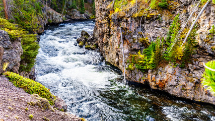 Rapids in the Firehole River at the Firehole Canyon Road in Yellowstone National Park, Wyoming, United States