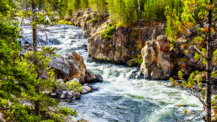 Rapids in the Firehole River at the Firehole Canyon Road in Yellowstone National Park, Wyoming, United States